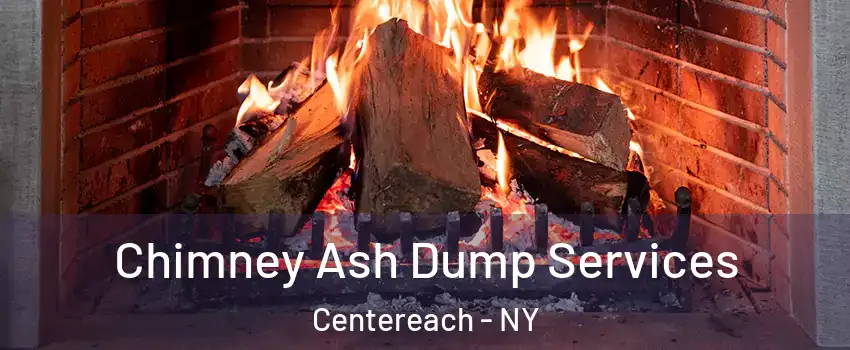  Chimney Ash Dump Services Centereach - NY