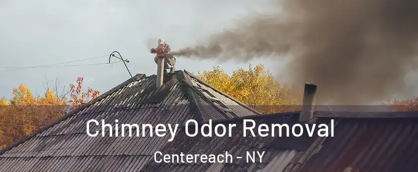 Chimney Odor Removal Centereach - NY