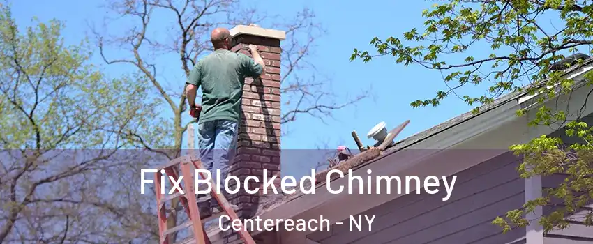  Fix Blocked Chimney Centereach - NY