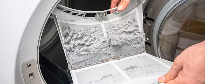 Best Dryer Lint Removal Company in Centereach, New York