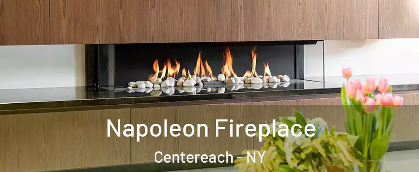  Napoleon Fireplace Centereach - NY